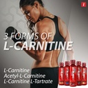 isatori-l-carnitine-ls3-blue-raspberry-1-4.jpg