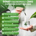 wellpath-chlorophyll-liquid-drops-with-c-4.jpg