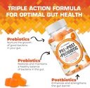 prebiotic-probiotic-postbiotic-gummies-f-2.jpg