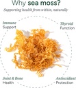 sea-moss-gummies-i-92-minerals-i-black-s-3.jpg