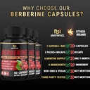 3-packs-berberine-supplement-plus-ceylon-6.jpg