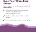 pure-synergy-superpure-grape-seed-extrac-4.jpg