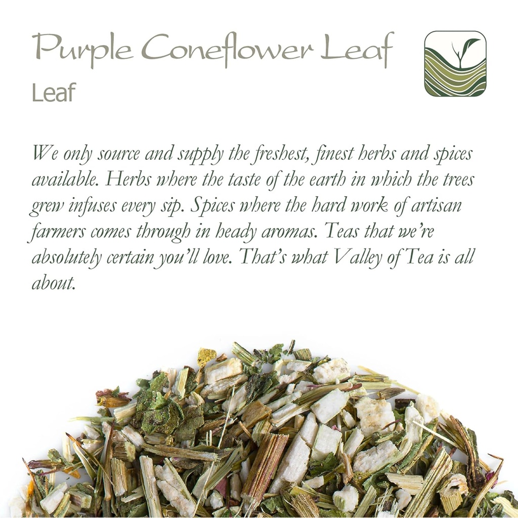 purple-coneflower-herb-echenecia-tea---i-6.jpg