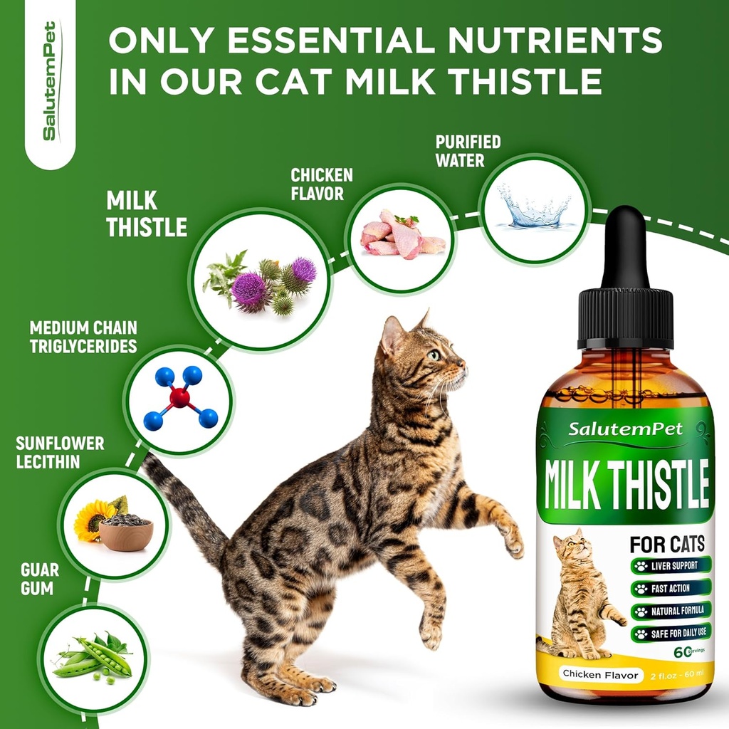 сat-kidney-support-milk-thistle-for-cats-3.jpg