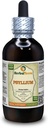 Pyllium (Plantago Ovata) Tincture, Organic Dry Husk Liquid Extract (Prekės pavadinimas: HerbalTerra, Proudly Made in USA) 4 fl.oz (120 ml)