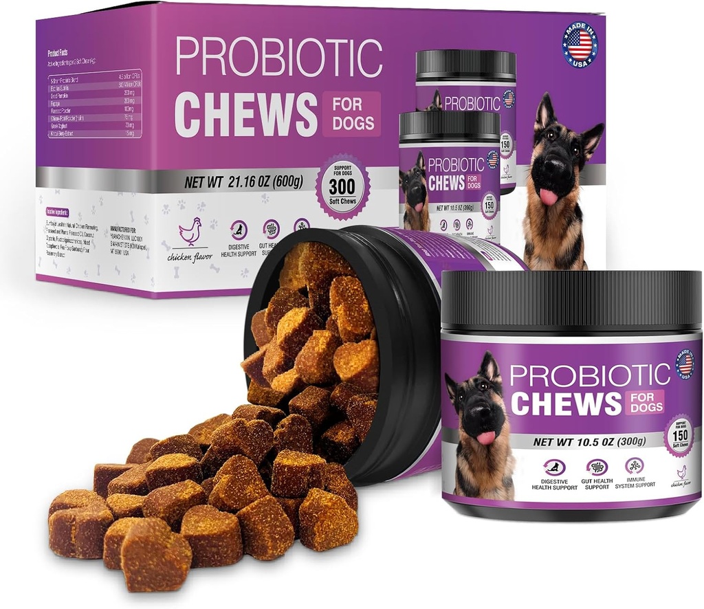 Probiotikai šunims Šunys Probiotiniai Chews ir Digestic Enzymes Prebiotic Health Gut Itchy odos probiotikos Itching Diarraja Chew papildai šunų augintinių prebiotikai 200 Natūralios minkštos kramtomosios tabletės