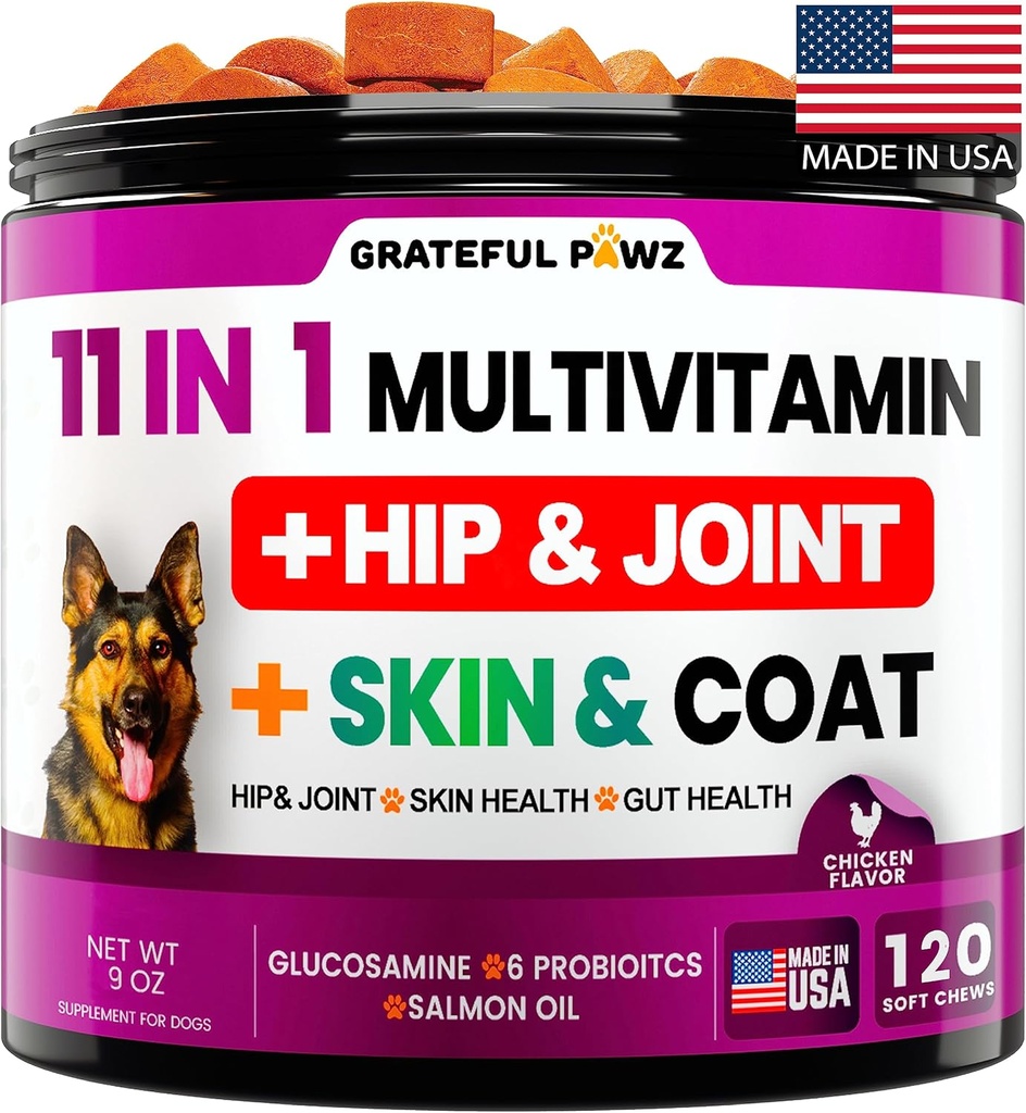 Šuo Multivitaminų Chewable su gliukozamino - Šunų vitaminai ir papildai, Vyresnysis & Puppy Multivitaminų šunims - Pet Chondroitin Hip ir bendra parama sveikatai, imuninis stiprintuvas, oda, širdis, Probiotikai