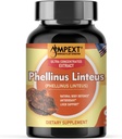 Phellinus linteus grybų ekstraktas - Premium Quality, Tik vaisių kūnai, Antioksidantas, Imunitetas, kepenų parama, 90 Veg Caps.