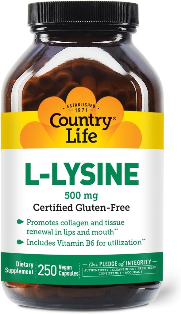 Country Life L- Lysine 500mg su B- 6, Palaiko imuninę sveikatą, Skatina kolageno atsinaujinimas Lops ir Mouth, 250 Vegan Capsules, Sertifikuotas Gluten Free, Sertifikuotas Veganas