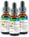 Morter Trace Minerals in Colloidal Suspension (3 Pack) Morter HealthSystem Best Process Alkaline — Nutrient Dense Trace Elements, Fulvic Minerals & Amino Acids