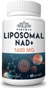 1600 mg Liposominis NAD priedas, 98% Pure NAD + priedas, Superior Absorbcija, alternatyva Nicotinamide Riboside arba NADH - Boost NAD + senėjimui, energijai, ilgaamžiškumui, 60 Softgels