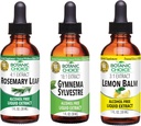 Botanic Choice Lemon Balm, Rosemary Leaf, & Gymnema Sylvestre Extracts Bundle – Daily Overall Wellness Kit for Balanced Sleep, Immune System Boost, Better Focus, & Improved Wellbeing (1 fl. Oz. Each)