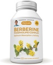 ANDREW LESSMAN Berberine Phospholipid Complex 30 Capsules - Barberry Root Extract. Small Easy to Swallow Capsules