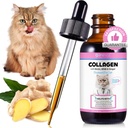 Kolagenas katėms 2 fl.oz, skystas kolagenas katėms lašai, Premium Grasseled Collagens Cat Skin and Coat Addition, Itch Relief for Cat with Alergency Immunity, su galvijų Collagens, Biotinas, MSM