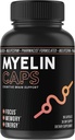 Myelin Caps, Brain Health Supplement, Focus Supplement & Brain Health with AlphaSize, Memory and Cognitive Function Support, Gluten-Free, Non-GMO (90 Capsules)