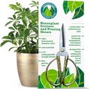 Premium Houseplant Scissors | 100% Stainless Steel, Ultra-Precise Garden Clippers for Propagation & Trimming | Rust-Resistant, Easy Clean Pruning Shears | Indoor & Outdoor | Comfortable & Ambidextrous