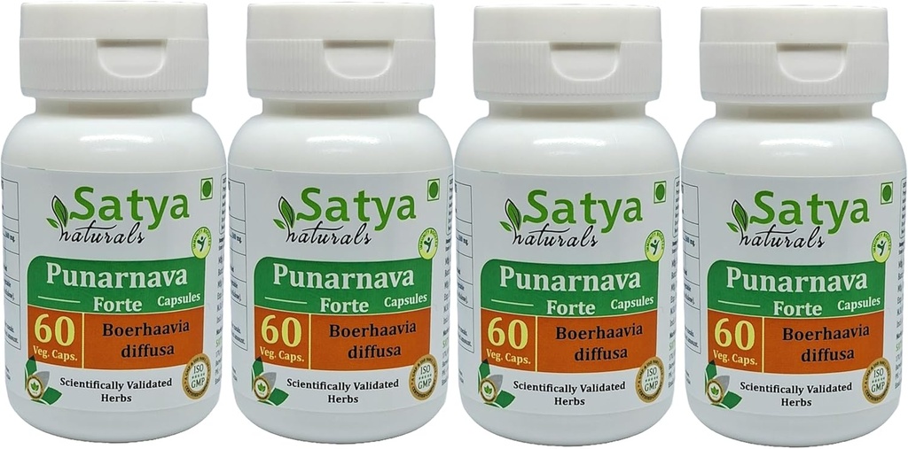 Punarnava Forte Capsules 500 mg. 60 Veg. Kapsulė Bendrijoje 124; Punarnava (Boerhaavia Diffusa) ekstraktas vyrams ir moterims