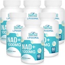 Liposomal NAD+ Supplement 1000 mg | Highest NAD Pontecy | Max Absorption | Pure NAD Supplement | Energy and DNA Repair, Aging Defense, Brain Function | 360 Softgels