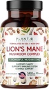 Plant.O Premium Lion 's Mane Addition, All Natural Nootropics Srain Addition, 5 Grybų kompleksas - Lion' s Mane, Reishi, Chaga, Maitake, Shiitake for Immunity, Focus, Mood & Memory Boost, 90 Caps