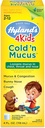 Hyland's Cold Medicine for Kids Ages 2 and up, Cold 'n Mucus Relief Liquid, Natural Relief of Mucus and Congestion, Runny Nose, Cough, 4 Ounces