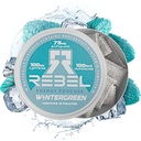 Nootropic Energy Caffeine Pouches • 100mg Caffeine • Alpha GPC • Huperzine A & Essential Vitamins • Sugar-Free • Coconut Fiber Technology • Wintergreen Flavor • 15 Pouches Per Can (Pack of 1)