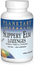 PLANETARY HERBALS Slippery Elm Lozenges, Unflavored, 200 Count