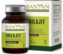 Banyan Botanicals Shilajit - Organic and Sustainable Mineral Pitch - Mineral- Rich Shilajit Addition for Natural Detoksikation and Excellence Aging * - 90 Tablets - NeGMO Proporcingai Sourced Vegan