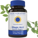 Rejuvenation Therapeutics High Potency Ellagic Acid Capsules 250mg | Improve Immunity & Eliminate Oxidative Stress | Premium Organic & Vegan | 30 Capsules 250 mg
