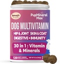 Šuo Multivitaminas Minkšti Chews - 120 Count - Šunų jungtinį papildą, Digimasis, Imuninis, Oda, Coat - Kombinuotas Išplėstinė vitaminai šunims, Visi šunų amžius - Pagaminta JAV