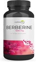 Berberino HCl 1200mg - Aukšto stiprumo priedas cukraus kiekiui kraujyje, insulino ir svorio reguliavimas - GMO nebuvimas, be glutenų, veganų kapsulės - Širdies ir metabolizmo palaikymas, pagaminta JAV - 60 Count