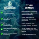 Holistic Bin Tongkat Ali ekstraktas milteliai - Premium Longjack Sumative Forests - Žoliniai - No Filers or Preservatives - 50 Grams