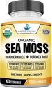 American Standard Additions Organic Sea Moss, Bladderwrack & Burdock Root Capsules - 1200mg Seamoss, 1200mg Bladderwrack, 225mg Bardock Root per Serving - 120 Capsules, 40 Servings