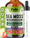 Pella Nutrition Sea Moss lašai su Bladderwrack - 4X Faster Absorbcija Than Irish Sea Moss Gel Superfood, Gummies, and Capsules - Digestive & Immune Support Addition (Braškių kalkės, 60ml)