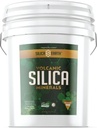 Volcanic Silica Minerals Micronized- 40 lbs