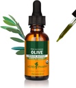 Herb Pharm Certified Organic Olive Leaf Liquid Extract for Immune System Support - 1 Ounce