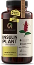 Premium Quality Costus Igneus (Insulin Plant) Capsules - Lengvai nuryjamos 240 Veggie Capsules (2 mėnesių tiekimas) - Pagaminta JAV - Įskaitant pilną paramos sveikatai programą