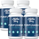 1500 MG Detox ir Cleanse, Kūno Detox vyrams ir moterims, Greitas Detox, inkstų Cleanse Detox & Remontas, Natūrali žolė Premium formulė kepenų, Šlapimo Tract, Digestion & Mood, Pagaminta JAV, 240 Caps