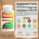Geriausi Naturals Niacinas 500mg 250 tabletės su paraudimu - Taip pat vadintas vitaminu B3 (250 skaičius (pakuotė 2))