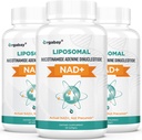 Orgabay Liposominis NAD + Papildymas 500 mg, High Absorption, Boost NAD + su TMG 250 mg, Faktinis NAD Plus Efektyvesnis nei Nikotinamido riboside, Parama ląstelių energija, Sveikas senėjimas 124; 180 Softgels