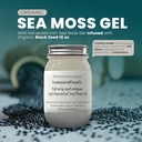 Ashwagandha Mango Sea Moss Gel Organic Fresh Fruit Infused Wild Harbould Irish Sea Moss Gel Ş124; Immunal and Digestive Support ® 124; Vitaminų mineralų antioksidanto papildai Bendrijoje 124; (16 oz. Ashwagandha Mango)