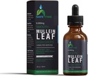 Organic Mullein Tincture lašai kvėpavimo organų sveikatai - Natūralus plaučių parama, Alkoholio nemokamai, Veganas, Ne GMO, Žolelių ekstraktas, 2 fl oz (60ml) Natūralus miego pagalba & Imuninė parama