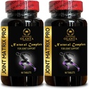 Joint Matrix PRO Complex - Knee Support, Chondroitin MSM, Joint Support Supplement for Comfort Strength Flexibility, Advanced Joint Support Formula - 2 Bottles