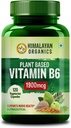 Platina pagrįstas vitaminas B6 ® 124; Palaiko imunitetą, smegenų sveikata (120 kapsulės)