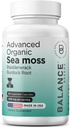 Organinės Airijos jūros Moss, Bladderwrack & Burdock Šakninės papildas 1405mg, 60 Veg Capsules - Imuninis Booster, Gut Health, Odos Detox & Bendra parama (60 Skaičiavimas (Pack of 1))