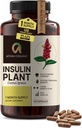 Premium Quality Costus Igneus (Insulin Plant) Capsules - Lengva nuryti 120 Veggie Capsules (1 mėnuo tiekimas) - Pagaminta JAV - Įskaitant pilną paramos sveikatai programą