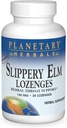 Planetos žolelės Slippery Elm Lozenges, žolelių ryklės palaikymas, 24 Lozenge