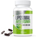 900 mg liposominio artemizino maksimaliai absorbcijai, Saldžiųjų morkų ekstraktas (Artemisia Annua) su Quercetin Phytosome 200 mg, 60 Softgels - 2 Mėnesių tiekimas