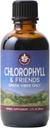 WishGarden Herbs Chlorophyll & Friends - Chlorophyll Liquid Drops with Nettle Leaf, Holy Basil, Moringa Leaf & Peppermint Leaf, Supports Increased Energy, Healthy Immune, & Stress Response, 2oz