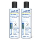 dermasolve Ecema Relief Shampoo - Flare Control Scalp & pleiskanos Nemokama terapija, kuri apsaugo, drėkina, ir remonto odos vaikams ir suaugusiems - Steroidų nemokamai (2-pakuotė)