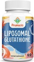 2400MG Liposominis gluktationas su vitaminu C, pieno tirštlige ir alfa- lipoidine rūgštimi, pagrindiniai antioksidantai, grynas redukuotas L- glutationas - Imuninė sistema, ląstelių remontas, energija, didelė absorbcija, 60 Softgels
